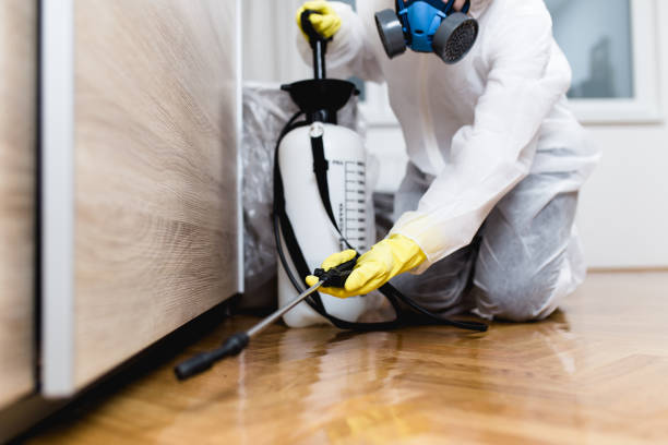 Best Affordable Pest Control Services  in Pleasureville, KY