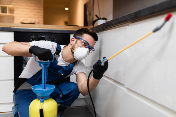 Best Pest Control Treatment  in Pleasureville, KY